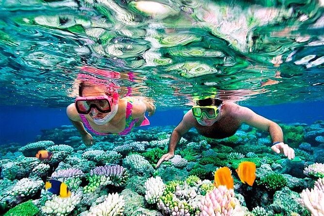 1 Hour Private Snorkeling Activity In Montego Bay - What the Montego Bay snorkeling hour is really like