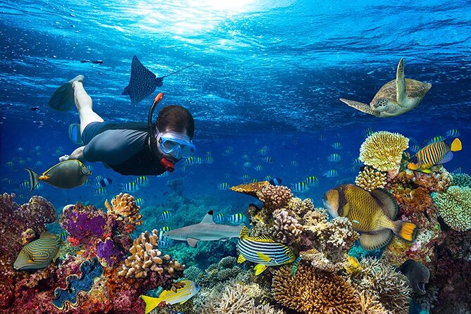1 Hour Private Snorkeling Activity In Montego Bay - Getting fitted with gear and ready for the water