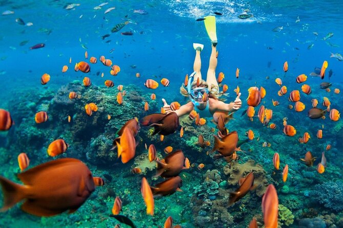 1 Hour Private Snorkeling Activity In Montego Bay - The short boat ride to Montego Bay’s reef