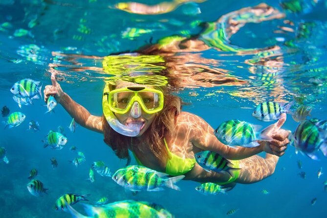 1 Hour Private Snorkeling Activity In Montego Bay - What you see beneath the surface
