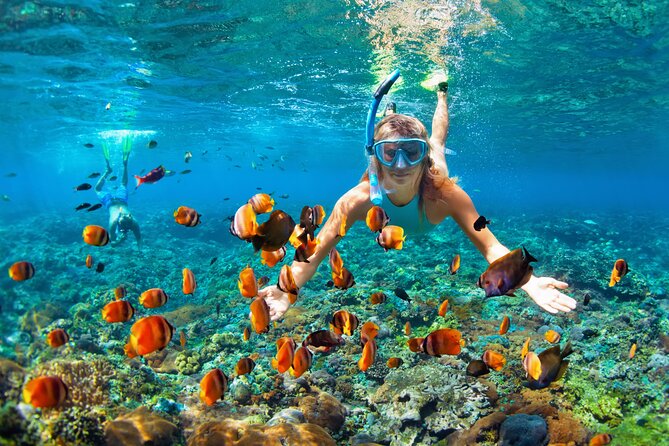 1 Hour Private Snorkeling Activity In Montego Bay - Why the private setup can be worth $110
