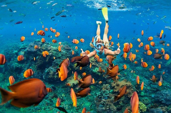 1 Hour Private Snorkeling Activity In Montego Bay - Who will enjoy this outing most