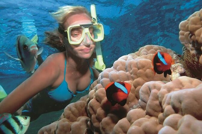 1 Hour Private Snorkeling Activity In Montego Bay - Cameras, comfort, and small practical choices