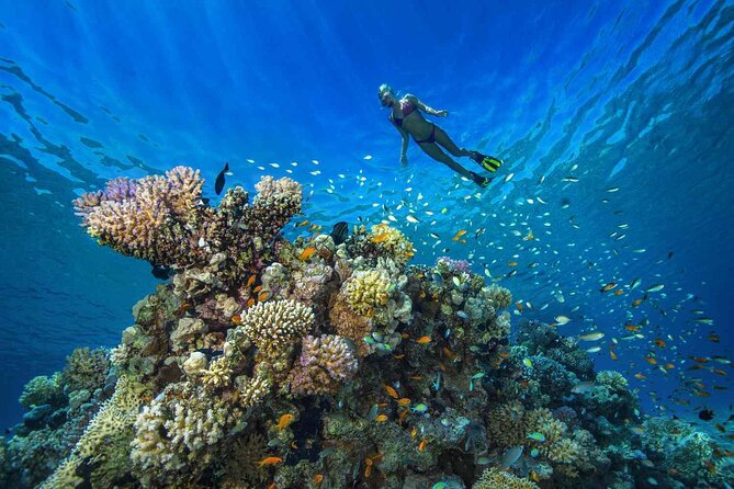 1 Hour Private Snorkeling Activity In Montego Bay - Leaving your resort in an air-conditioned vehicle