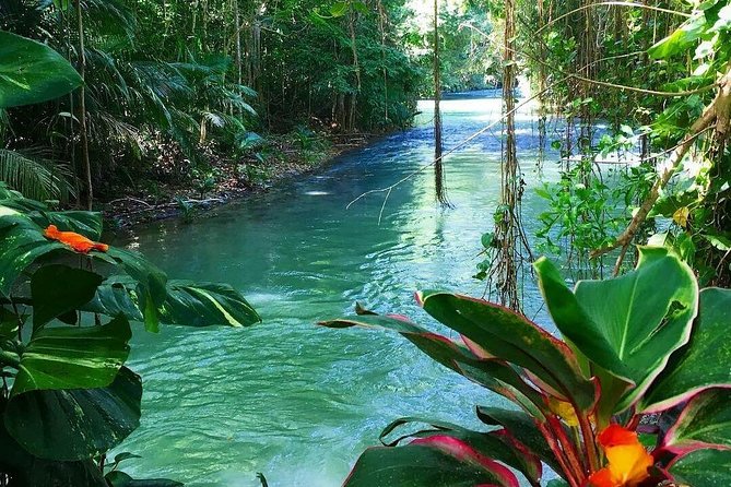 #1 Martha brea bamboo rafting - A slow ride on Jamaica’s Martha Brae River