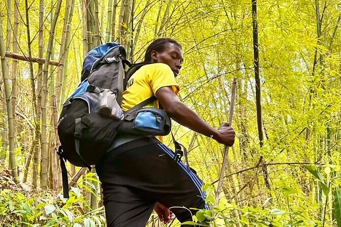 4-Hours Bike, Hike & Waterfall Tour in Blue Mountain with Lunch and Pick Up - A Blue Mountain day built around movement