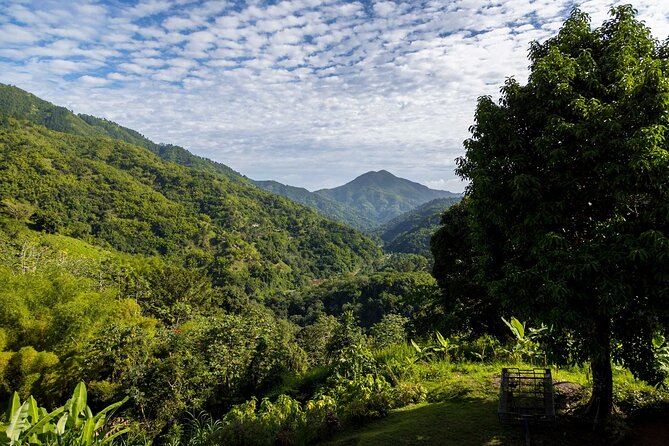 4-Hours Bike, Hike & Waterfall Tour in Blue Mountain with Lunch and Pick Up - Lunch at a 200-year-old coffee trading post