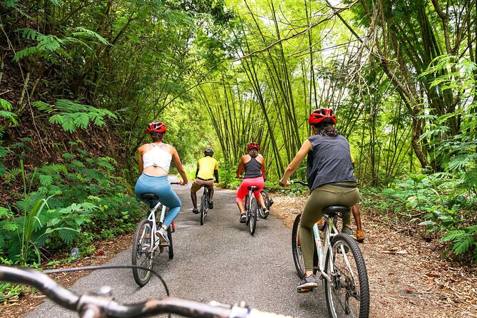 4-Hours Bike, Hike & Waterfall Tour in Blue Mountain with Lunch and Pick Up - Who will enjoy this Blue Mountain outing