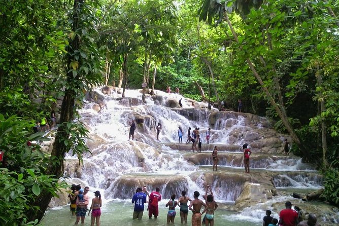 6. Bob Marley 9miles/Dunn's River Private Tour(420 Friendly)final resting place - Climbing Dunn’s River Falls Near Ocho Rios