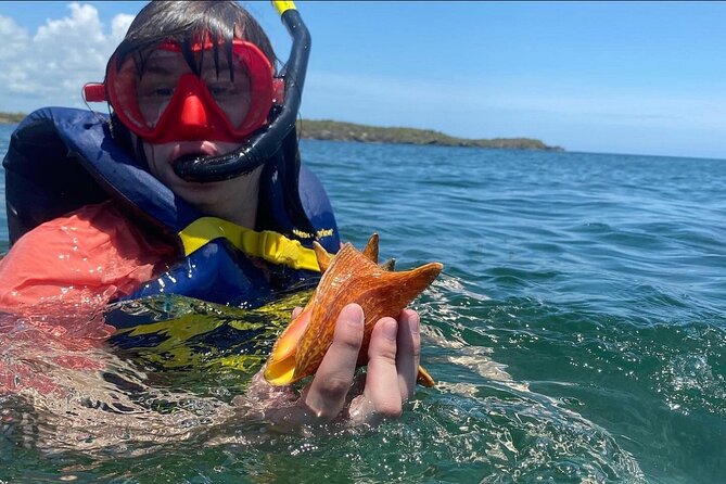 Adventurous-Snorkeling With Sightseeing of Montego Bay - Returning to shore and choosing your land stops