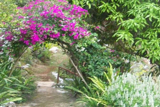 Ahhh Ras Natango Gallery and Garden Private Transfer - Inside the gallery: work by three resident artists