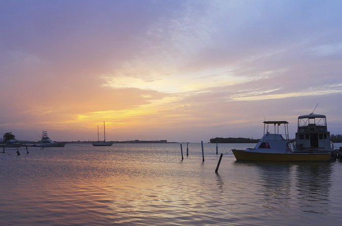 An Evening on the Lagoon: Martha Rafting, Luminous Lagoon and Falmouth Highlight - What the $240 price really covers