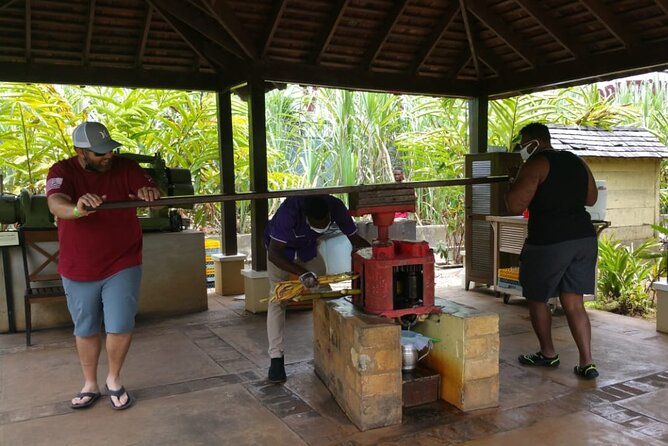 Appleton Estate Rum Tour and Pelican Bar Customize Tour - Inside Appleton Estate, Jamaica’s old rum center