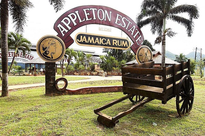 Appleton Estate Rum Tour and Tasting from Negril - Comparing Jamaican rum with cane juice