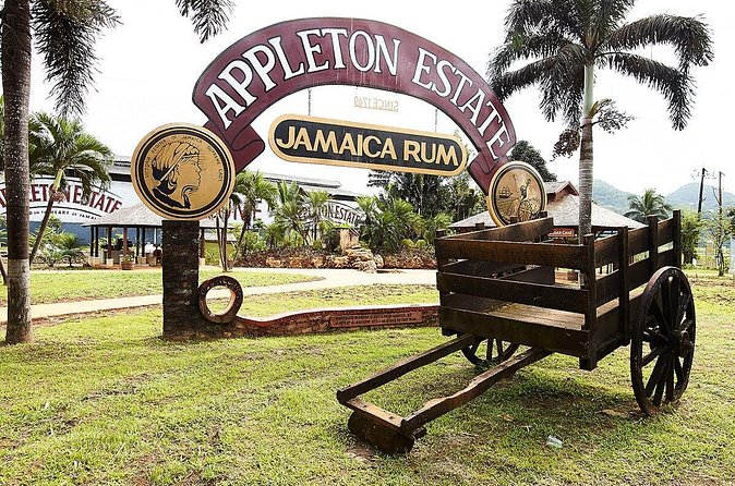 Appleton Estate Rum Tour and Tasting from Ocho Rios - Copper stills, molasses, and limestone-filtered water