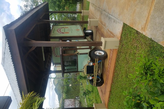 Appleton Estate Rum Tour [Transportation services] - Sugarcane juice and molasses make the process clear