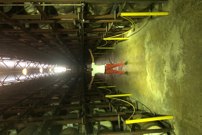 Appleton Estate Rum Tour - Sugarcane before the bottle