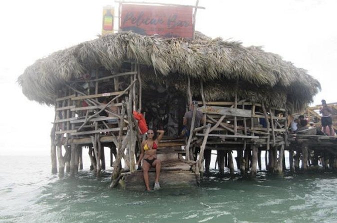 Appleton Estate Rum, YS Falls, Black River Safari / Floyd's Pelican Bar Tour - How the driving and timing affect the day