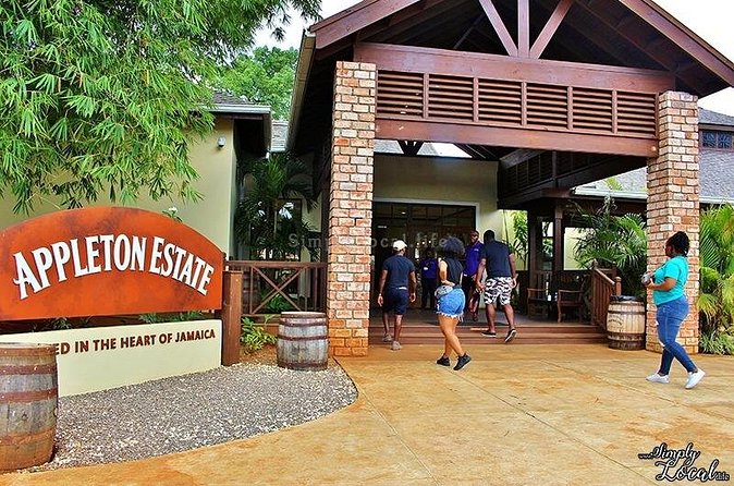 Appleton Estate, Ys Falls and Black River Safari Private Tour - Private transport is the real convenience