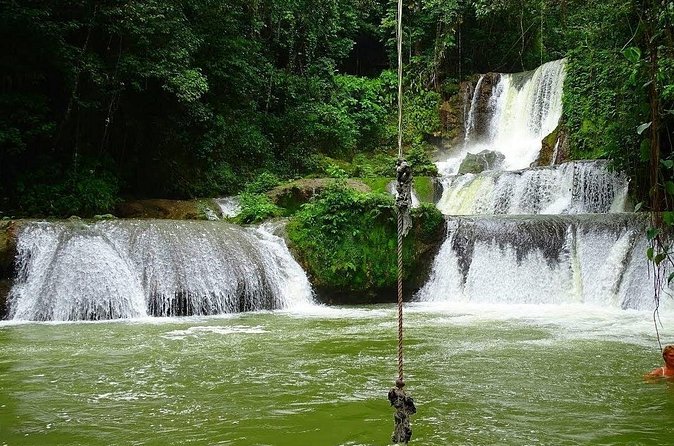 Appleton Estate, Ys Falls and Black River Safari Private Tour - Should you book this tour?