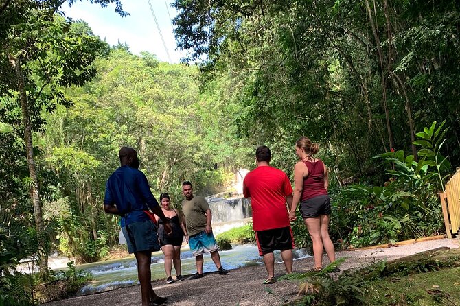 Appleton estate,YS Falls,Black River Safari,Pelican Bar(any 3of4) - Black River Safari and Jamaica’s longest river