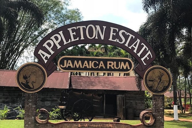 Appleton Rum Factory, YS Falls, and Reggae Horseback Ride & Swim Combo Tour - Key points to know before booking