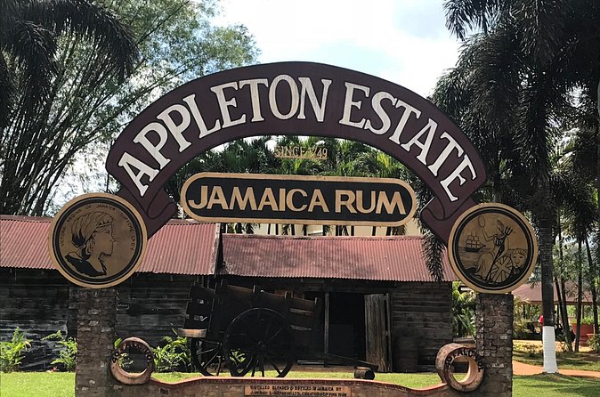 Appleton Rum Factory, YS Falls, and Reggae Horseback Ride & Swim Combo Tour - Appleton Rum Factory and the story behind Jamaican rum
