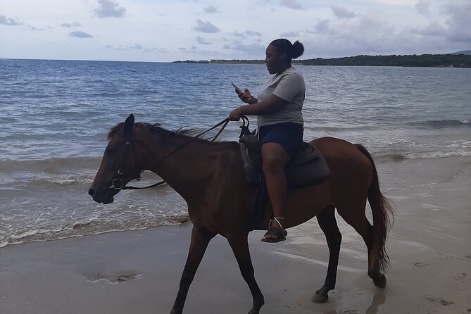 Aqua Fun Tours Dunns Falls, River Tubing and Horse Back - Who will get the most from this tour