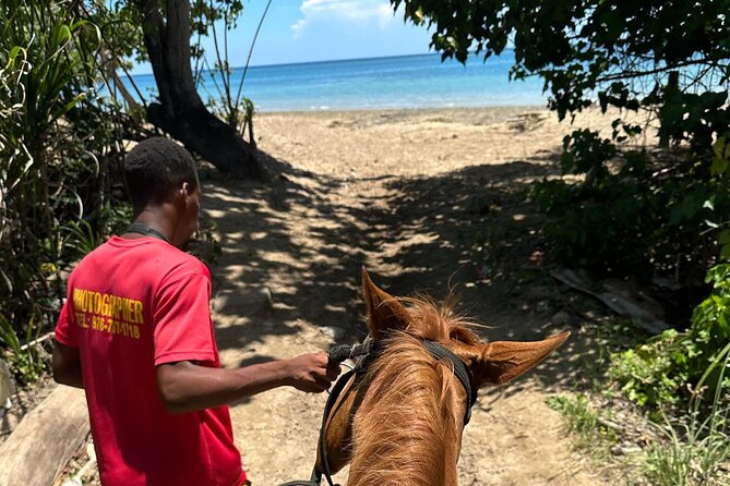 ATV, Bamboo Rafting, Horseback Ride From Montego Bay- Private - Bamboo rafting is the schedule’s biggest question mark