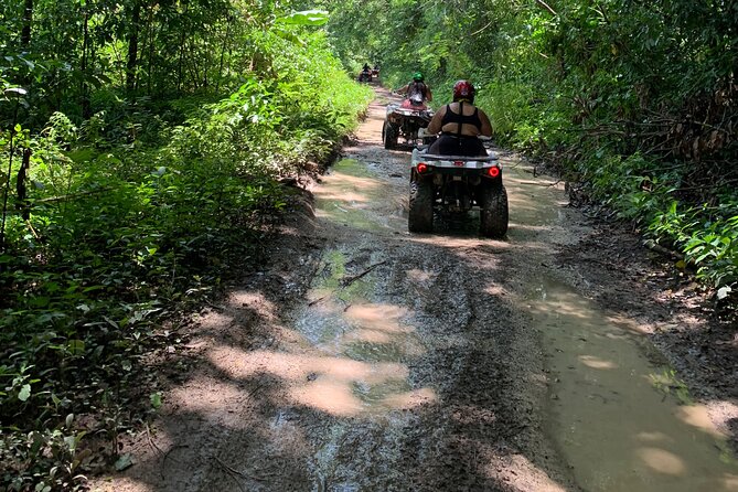 ATV Jungle Safari Tour from Montego Bay - The value of a $125 ATV tour