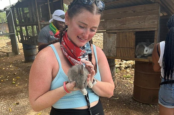 ATV Tour from Montego Bay with private transportation - The views, photo stops, and small animal encounters