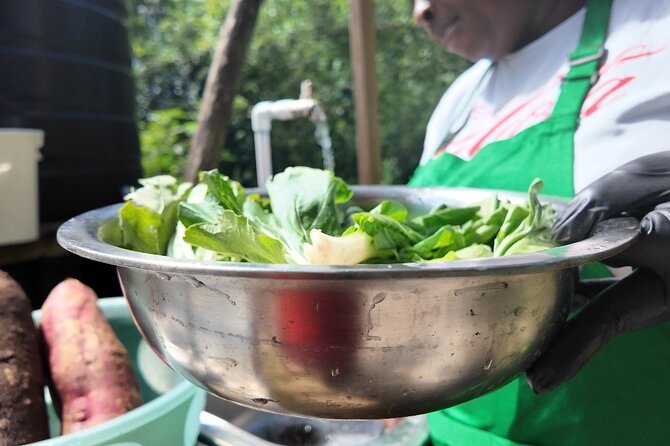 Authentic Jamaican Cooking Experience in the Mountain from mobay - Transport, meeting point, and timing