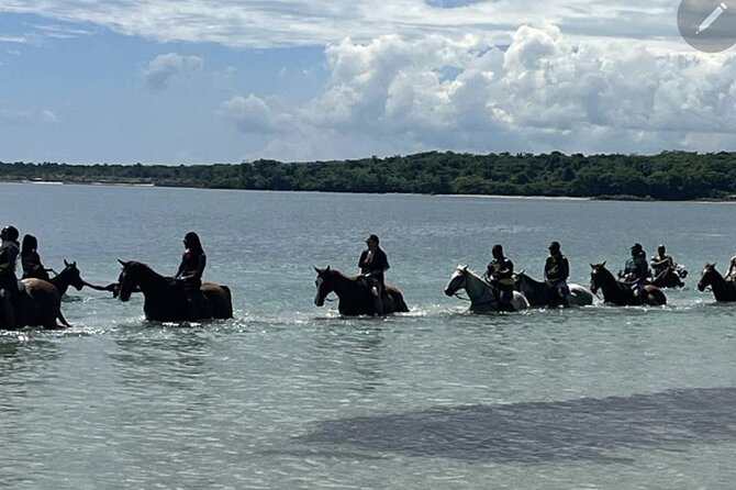 Bamboo Rafting and HorseBack Riding Excursion in OchoRios Jamaica - Key things to know before booking