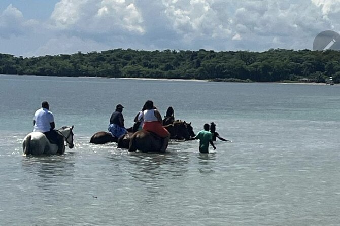 Bamboo Rafting and HorseBack Riding Excursion in OchoRios Jamaica - Two Jamaican adventures, one easy half-day plan