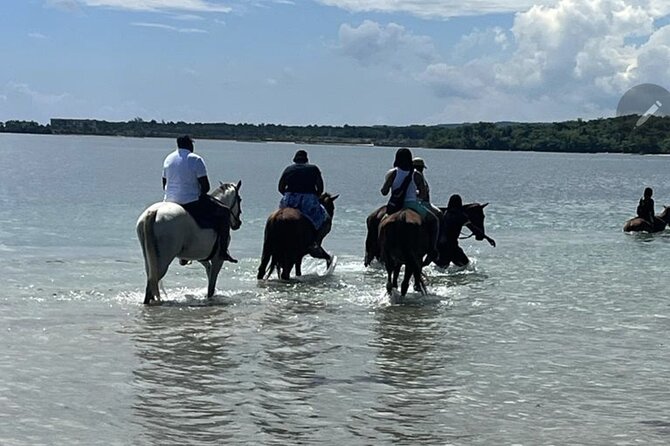 Bamboo Rafting and HorseBack Riding Excursion in OchoRios Jamaica - From St. Ann’s Bay to the sea
