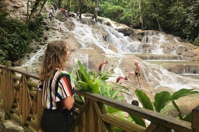 Bamboo Rafting, Dunn's River Falls and Horseback Riding Private Tour - Who should book this Jamaica day tour?