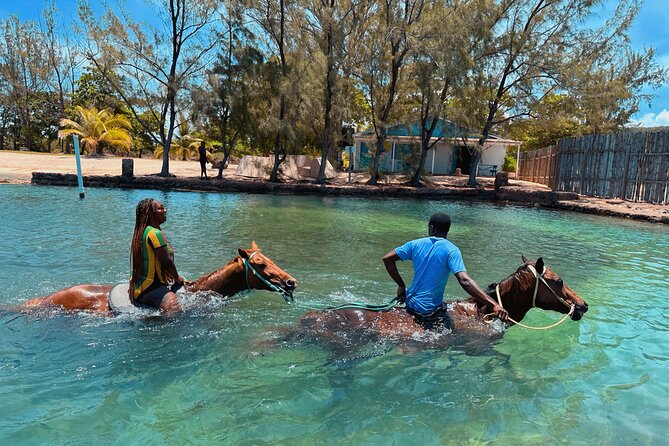 Bamboo Rafting & Horseback Ride n Swim Guided Tour in Montego Bay - Transport, timing, and what is included
