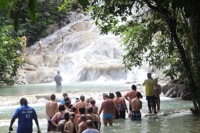 Beach Horseback Riding and Dunn’s River Falls - Should you book this Ocho Rios tour?
