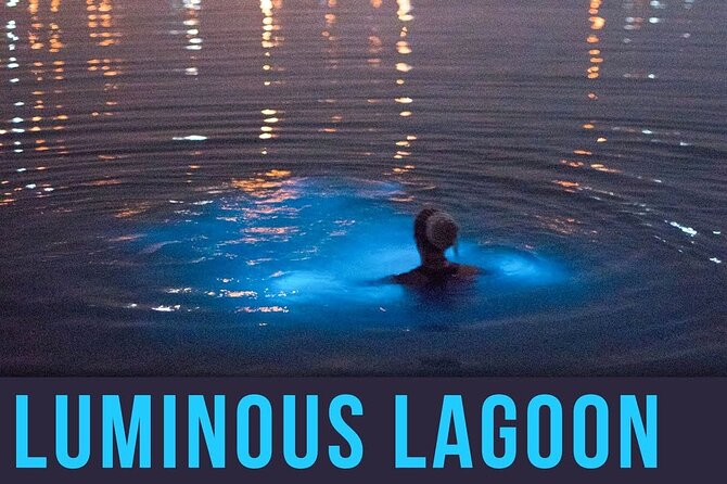 Bioluminescence Lagoon Tour from Montego Bay with Pick Up - The optional swim among phosphorescent plankton