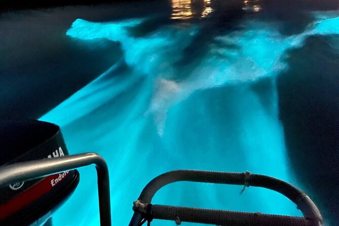 Bioluminescence Lagoon Tour from Montego Bay with Pick Up - Practical tips for getting more from the evening
