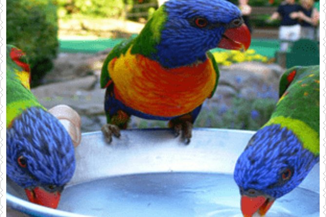 Bird Sanctuary and animal farm Day Tour - Rockland’s hummingbirds are the main event