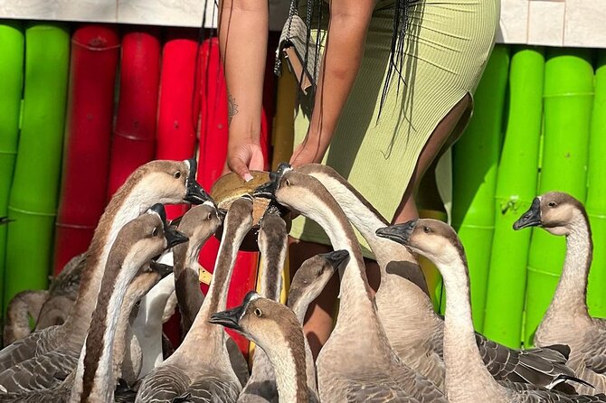 Bird Sanctuary and animal farm Day Tour - A garden walk adds a slower second act
