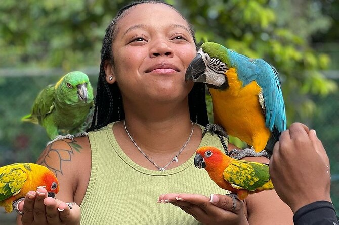 Bird Sanctuary and animal farm Day Tour - Guides can shape the whole three-hour outing