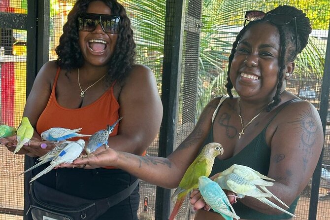 Bird Sanctuary and animal farm Day Tour - Hotel pickup saves time in Montego Bay