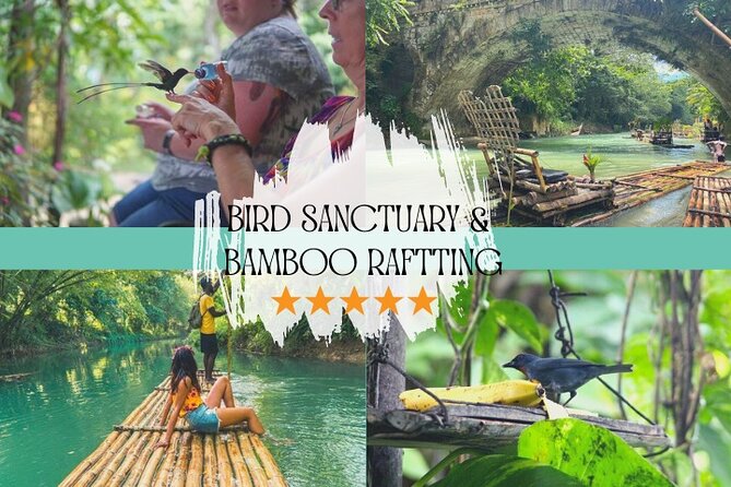Bird Sanctuary and/or Lethe Bamboo Rafting from Montego Bay - Rocklands Bird Sanctuary and the close-up bird encounter