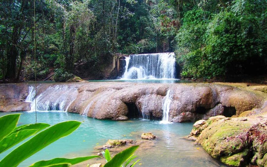Black River Safari and Ys Falls Tour and Transportation - Watching crocodiles from the Black River