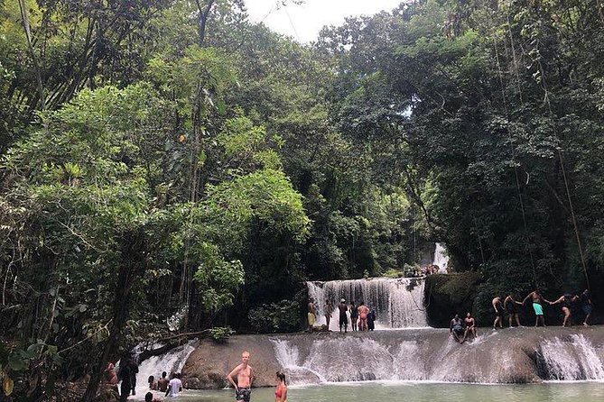 Black River Safari and YS Water Falls - Booking, cancellation, and practical details
