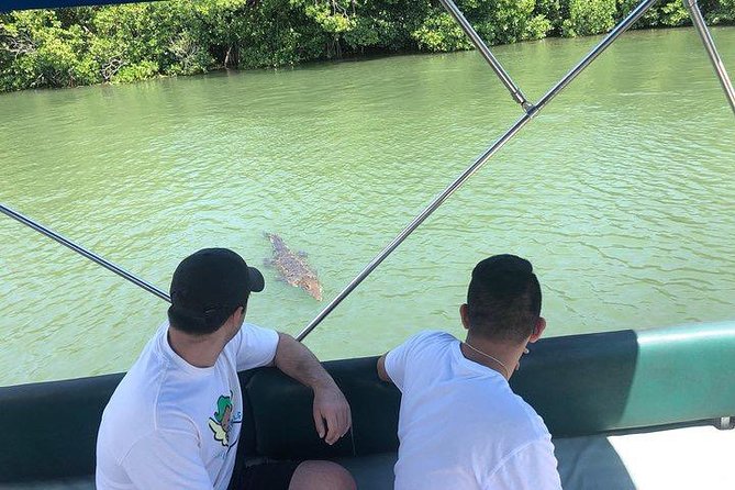 Black River Safari and YS Water Falls - Riding the Black River for crocodiles and birds