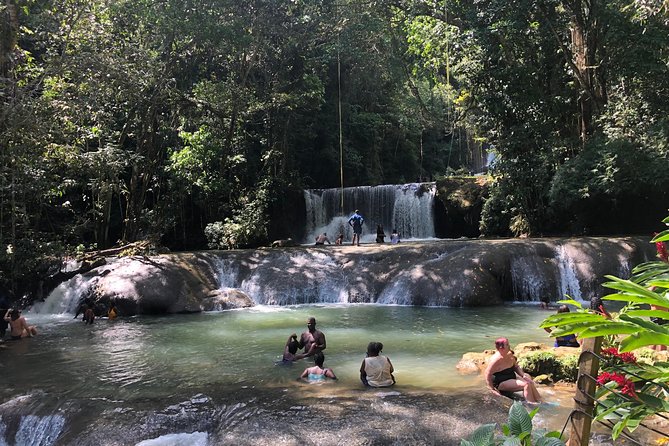 Black River Safari, YS Falls and Appleton Estate - Key Points Before You Book