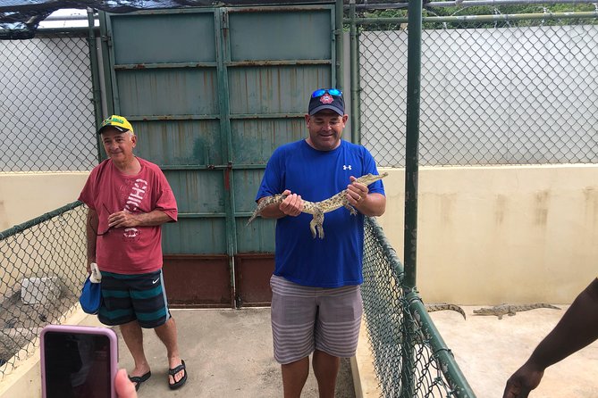 Black River Safari, YS Falls and Appleton Estate - A South-Coast Day With Three Distinct Stops